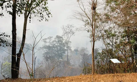 'ลำปาง'ประกาศ 100 วันอันตรายคุมปัญหาไฟป่า