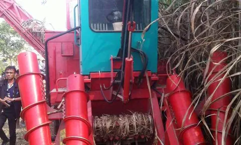 คนงานดวงกุด โดนรถตัดอ้อยบดร่างเละ