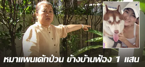 หมาแพนเค้กป่วน ข้างบ้านฟ้อง1แสน