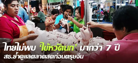 ไทยไม่พบ 'ไข้หวัดนก' มากว่า 7 ปี สธ.ย้ำดูแลตลาดสดก่อนตรุษจีน 