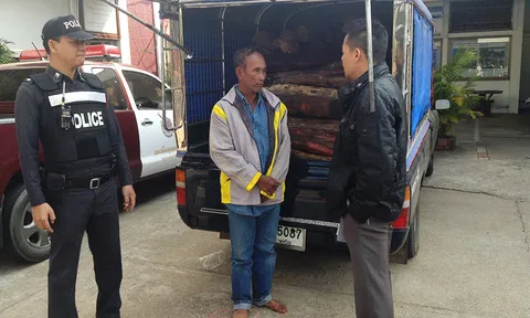 ตร.อุบลฯ รวบกระบะขนไม้พะยูง เตรียมส่งท่าเรือ