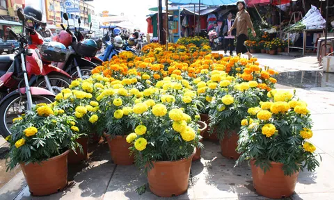 ยะลารปภ.เข้มวันจ่ายตรุษจีน นครพนมคึกดอกดาวเรืองราคาพุ่ง!