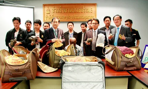 ศุลกากรรวบไนจีเรียกลืนไอซ์-โคเคน ยึดเต่ากว่า 400 ตัว