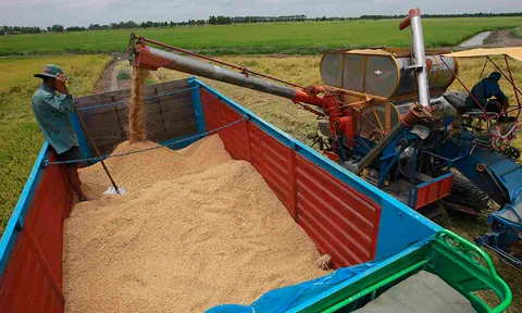 ปชป.จี้รัฐเร่งขายข้าว หาเงินใช้หนี้ชาวนา