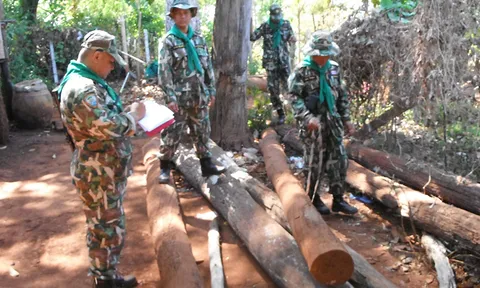 ทหาร-ป่าไม้เมืองกาญจน์ ยึดไม้เถื่อนซุกบ้านริมน้ำ   