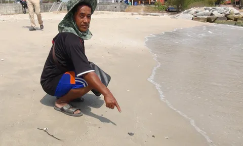 พบก้อนน้ำมัน เกยหาดระยอง ผวา-จ่อส่งตรวจ