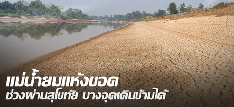 แม่น้ำยมแห้งขอด ช่วงผ่านสุโขทัย บางจุดเดินข้ามได้