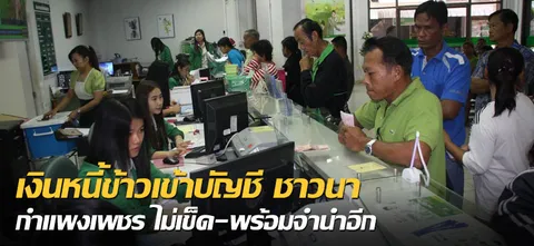 เงินหนี้ข้าวเข้าบัญชี ชาวนากำแพงเพชร ไม่เข็ด-พร้อมจำนำอีก