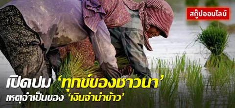 เปิดปม 'ทุกข์ของชาวนา' เหตุจำเป็นของ 'เงินจำนำข้าว' 