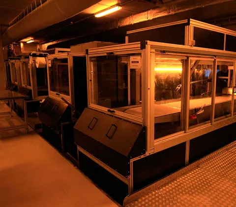 ใกล้แล้วสินะ…ฝันที่เป็นจริงของเครื่อง "WARP"