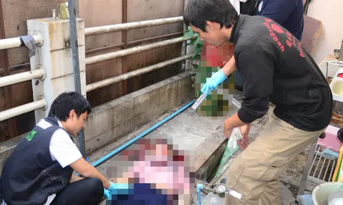 หนุ่มไทยใหญ่หึงโหด กะซวก5แผลฆ่าเมียวัย17-ลากศพซ่อน