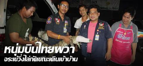 หนุ่มบินไทยผวา จระเข้วิ่งไล่กัดขณะเดินเข้าบ้าน