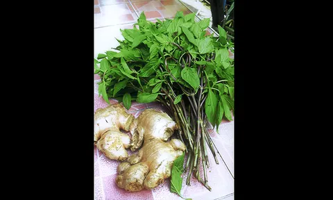 "โหระพา–ขิง" แก้สะอึกนานๆดี