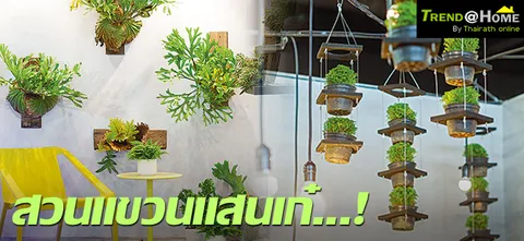 สวนแขวนแสนเก๋...!