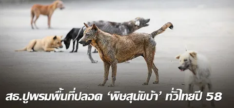สธ.ปูพรมพื้นที่ปลอด 'พิษสุนัขบ้า' ทั่วไทยปี 58 