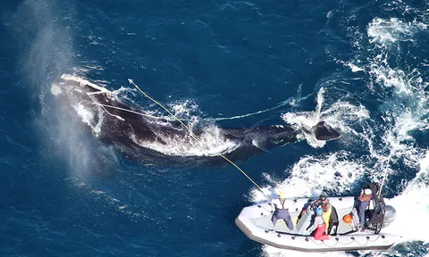 โลกาภิวัตน์ 26/02/57