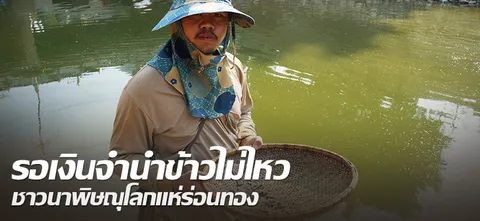 รอเงินจำนำข้าวไม่ไหว ชาวนาพิษณุโลกแห่ร่อนทอง