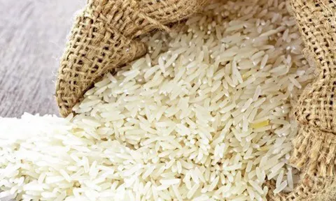 พาณิชย์เปิดประมูลข้าวเอเฟต 2 แสนตัน เร่งหาเงินจ่ายชาวนา