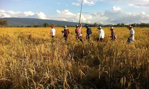 ขอนแก่นจัดระดมทุนช่วยเหลือชาวนาคาดได้เงิน100กว่าล้าน