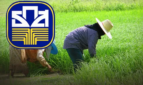 ธ.ก.ส.แจงยอดสมทบกองทุนชาวนา 7 วัน 616 ล้าน