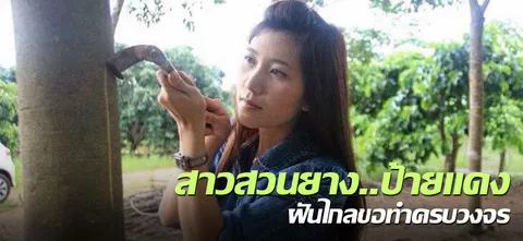 สาวสวนยาง..ป้ายแดง ฝันไกลขอทำครบวงจร