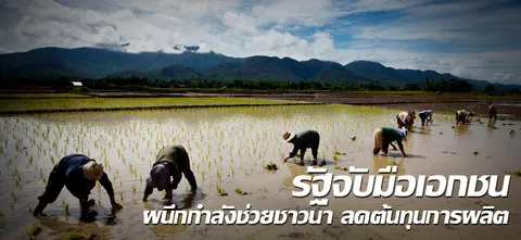 รัฐจับมือเอกชน ผนึกกำลังช่วยชาวนา ลดต้นทุนการผลิต