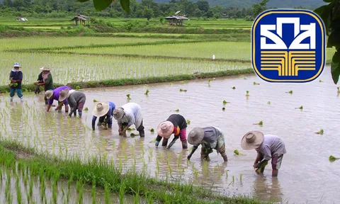 ธ.ก.ส.แจงยอดเงินสมทบกองทุนชาวนาวันที่8 รวม 698 ล้าน