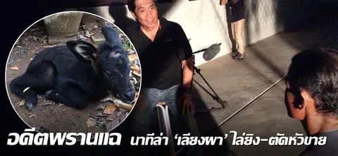 อดีตพรานแฉ นาทีล่า 'เลียงผา' ไล่ยิง-ตัดหัวขาย