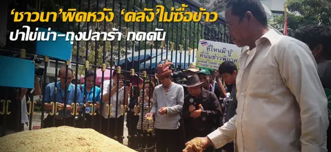 'ชาวนา'ผิดหวัง 'คลัง'ไม่ซื้อข้าว ปาไข่เน่า-ถุงปลาร้า กดดัน