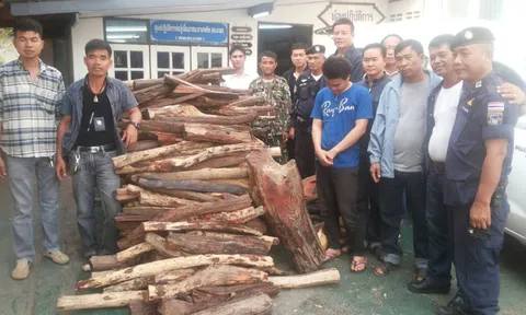 'ตร.นครพนม'รวบโจ๋ลักลอบขนไม้พะยูง มูลค่านับ 2 ล้าน