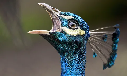 โลกาภิวัตน์ 19/03/57