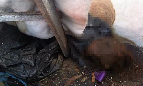 ตร.พัทยาคาดสาวผมแดงถูกฆ่ายัดถุงดำเป็นชาวบุรีรัมย์