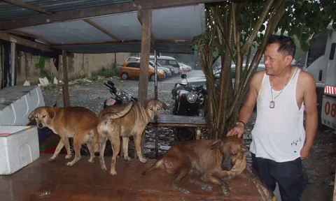 ทึ่ง!ตร.ใจบุญเลี้ยงดู'หมา-แมว'กว่าร้อยชีวิตด้วยทุนตัวเอง