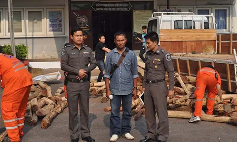 ตำรวจทางหลวงรวบแก๊งขนไม้พะยูง 'เจ๊แขก' ค่า 10 ล้าน