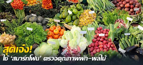 สุดเจ๋ง! ใช้ 'สมาร์ทโฟน' ตรวจคุณภาพผัก-ผลไม้