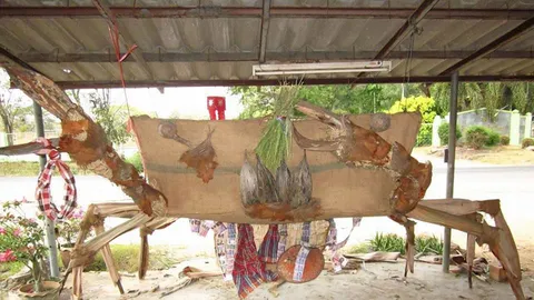 ศัตรูชาวนา 