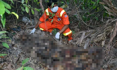 พบศพต่างชาติถูกทิ้งหมกป่า คาดเป็นรัสเซียที่หายสาบสูญ