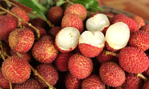 บุกสวนลิ้นจี่ 'แม่กลอง' ฟิน!!..เปรี้ยวหวาน 