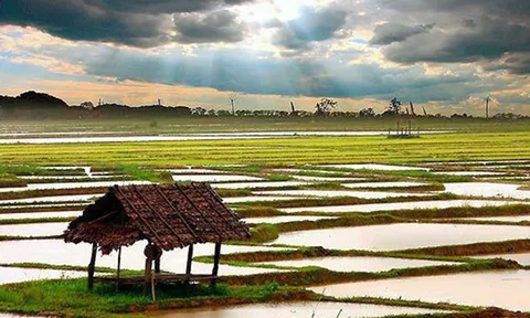 รากหญ้า...รอวันผู้เสียสละ