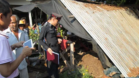 ซิ่งเสียหลักชนแผงแตงโม แม่ค้านั่งขายตายสยอง