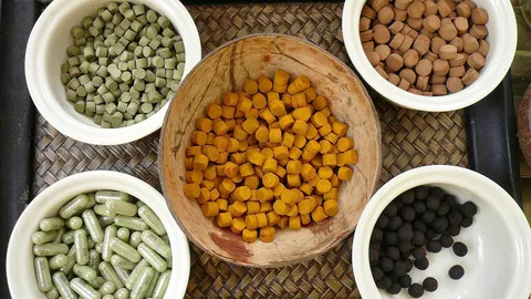 เปิดตัว 10 ยาแผนไทยประจำบ้าน