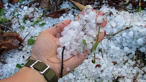 ส่งอัลฟาเจ็ต..ยิงพลุป่วนเมฆ สกัดลูกเห็บ..ถล่มพืชผลเกษตร