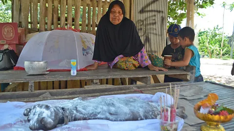 แห่ขอเลขเด็ด'โค'ออกลูกเหมือนช้าง ก่อนสิ้นใจตายที่พัทลุง