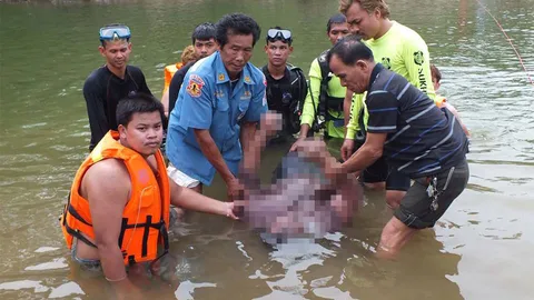 แก่งน้ำวนมรณะ ดูดลูกเขย-หลาน พ่อตาช่วยถูกกลืนดับ