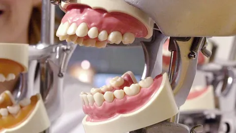 อึ้ง!ผู้สูงอายุไทยกว่าร้อยละ 50 ต้องพึ่งฟันเทียมเคี้ยวอาหาร