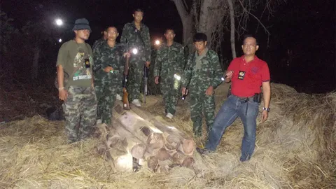 ทหาร-ป่าไม้ เข้ายึดไม้พะยูง-ชิงชัน มูลค่านับล้าน ที่มุกดาหาร