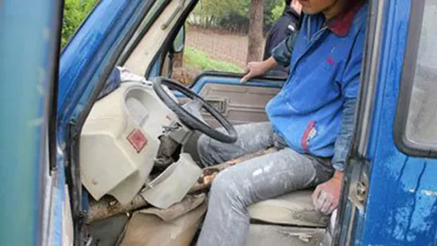 กิ่งไม้ทิ่มเสียบทะลุไข่ดัน