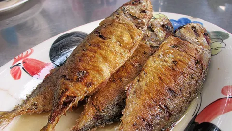 ร้านนี้เน้น ปลาทู!!ทิดอ้วน ชาวประมง ปรุงเอง