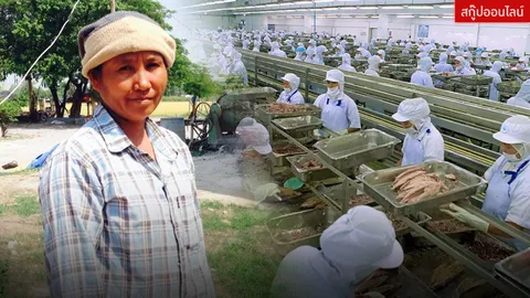 “ข้าวสารจะกรอกหม้อยังไม่มี...” เสียงแรงงานระทม ในวันที่เศรษฐกิจช้ำหนัก 