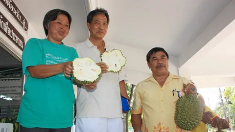 จำคุกคดีประวัติศาสตร์ หลอกขายทุเรียนอ่อน